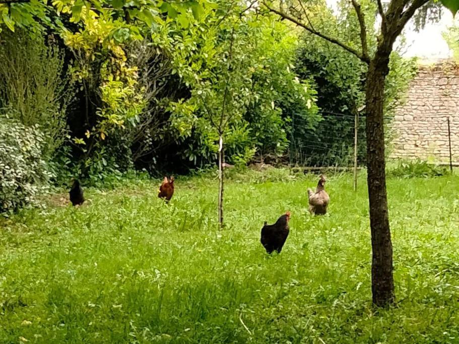 Vila Le Cinq, Au Coeur Du Vexin Themericourt Exteriér fotografie
